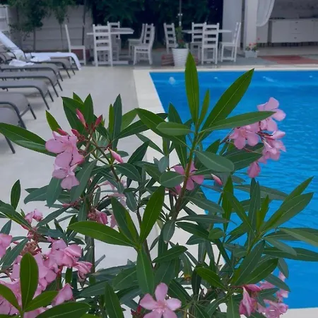 Yucatan Hotel Schitu